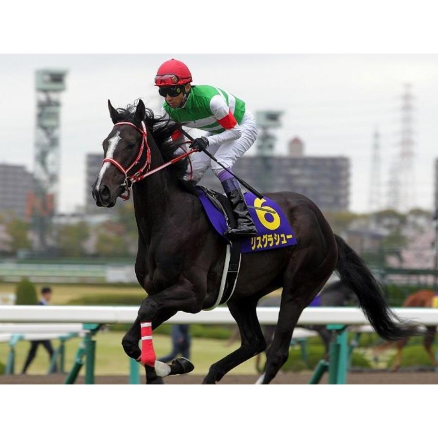 リスグラシュー ぬいぐるみ Sサイズ アイドルホース 第64回有馬記念