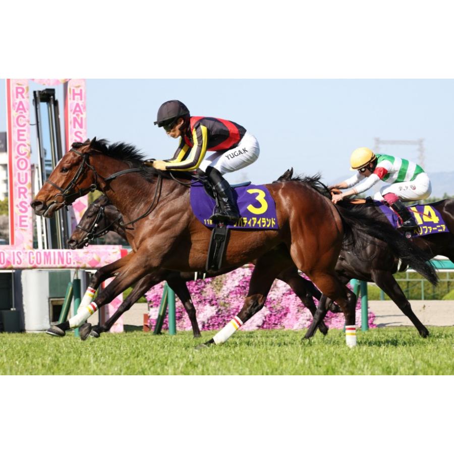 リバティアイランド 三冠制覇特別Ver！ 超BIGサイズ！ ぬいぐるみ