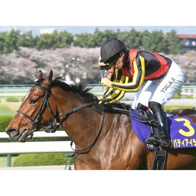 リバティアイランド 三冠制覇特別Ver！ 超BIGサイズ！ ぬいぐるみ