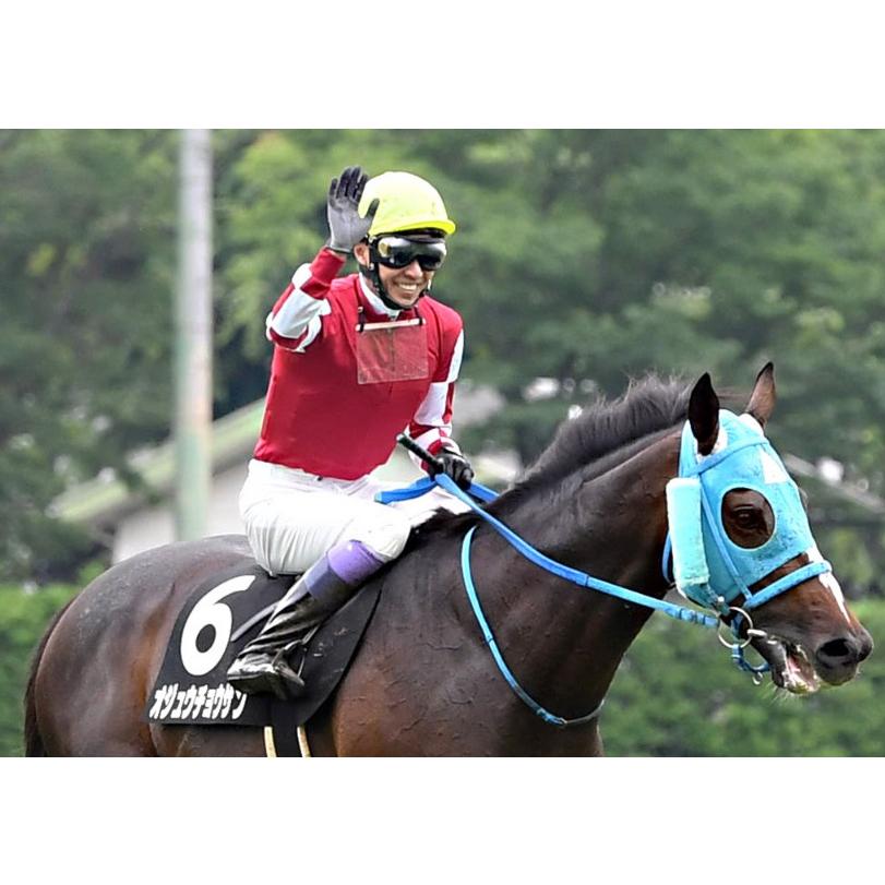 オジュウチョウサン ぬいぐるみ くっつきマスコット アイドルホース