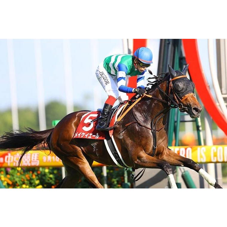 メイケイエール ぬいぐるみ Sサイズ 競馬 アイドルホース 第40回小倉2