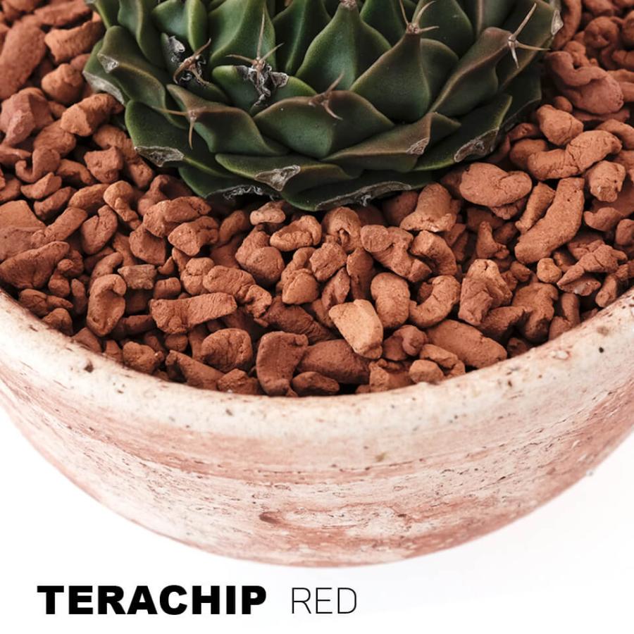 テラチップ【RED】600ml 赤焼 化粧石 化粧砂 多孔質 用土 水はけ 通気