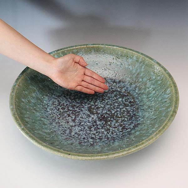 信楽焼 睡蓮鉢 メダカ鉢 おしゃれ めだか鉢 陶器 水鉢 ビオトープ