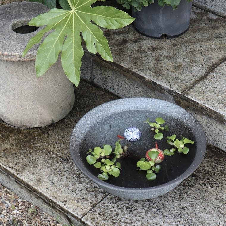 信楽焼 メダカ鉢 おしゃれ 水鉢 睡蓮鉢 陶器 めだか 鉢 金魚鉢 青