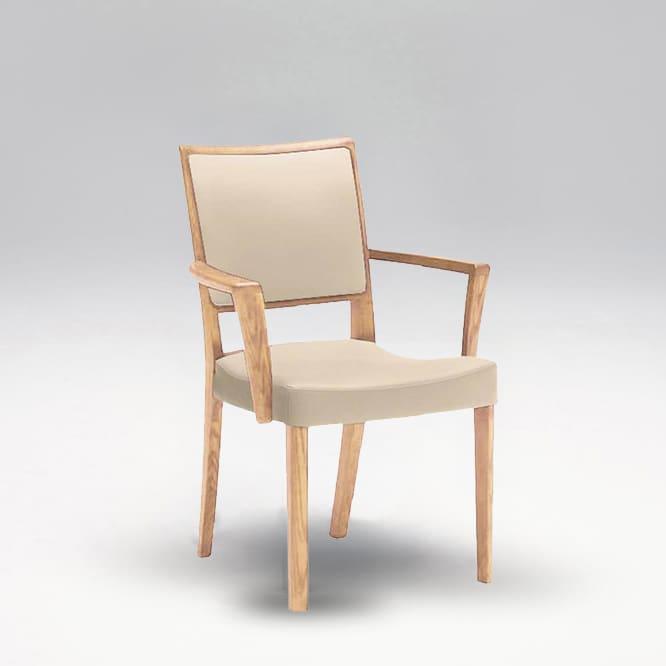 地域限定】 ダイニングチェア ダンテアームチェア(肘付) C19720