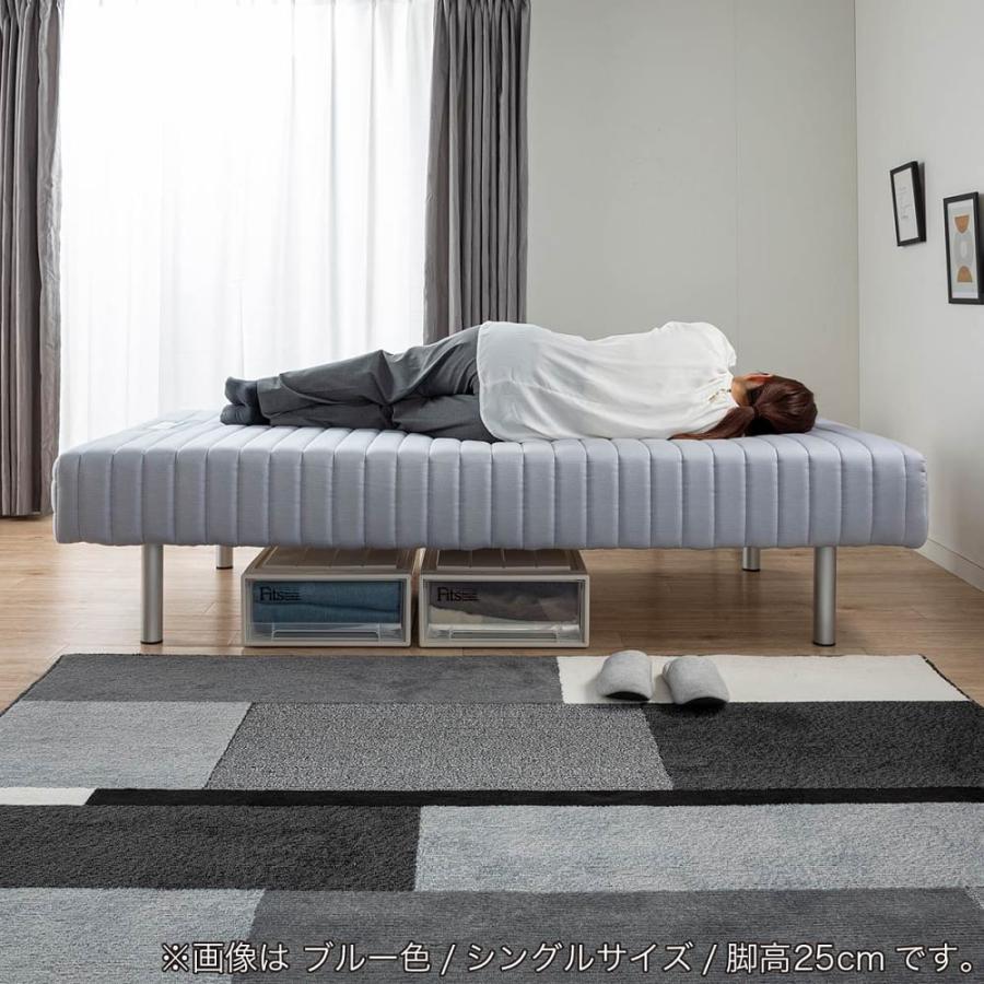 フランスベッド（FRANCEBED） シングルベッド ミハシー 脚高250mm