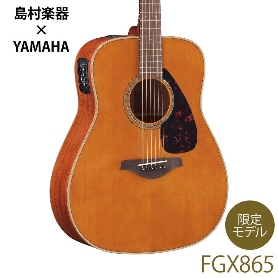 YAMAHA（ヤマハ） 〔オール単板〕 FGX865 T(ティンテッド
