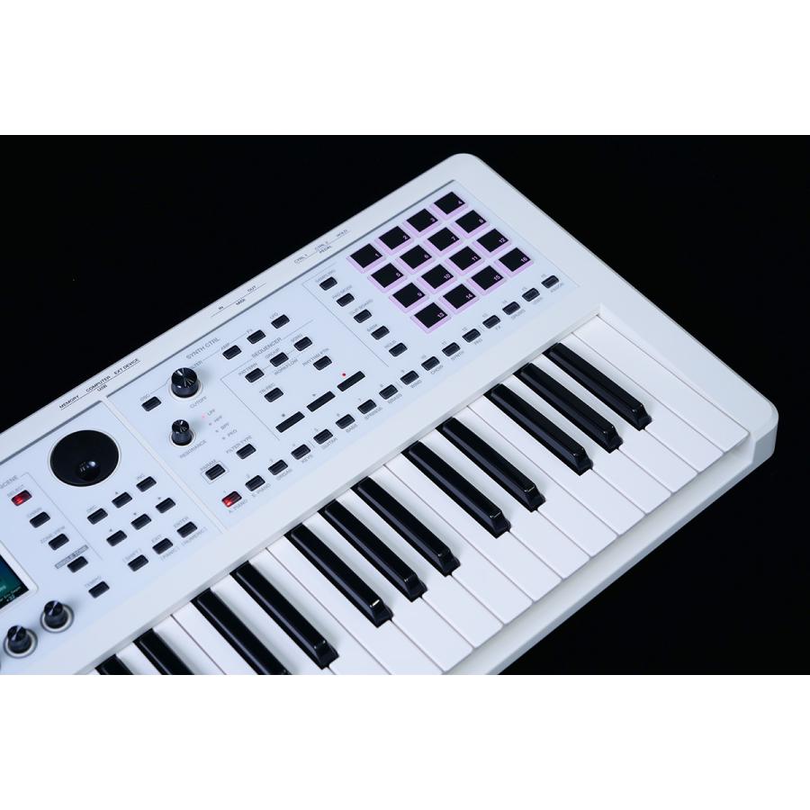 ローランド（Roland） Roland FANTOM-06-SC 限定ホワイト 追加音源付属