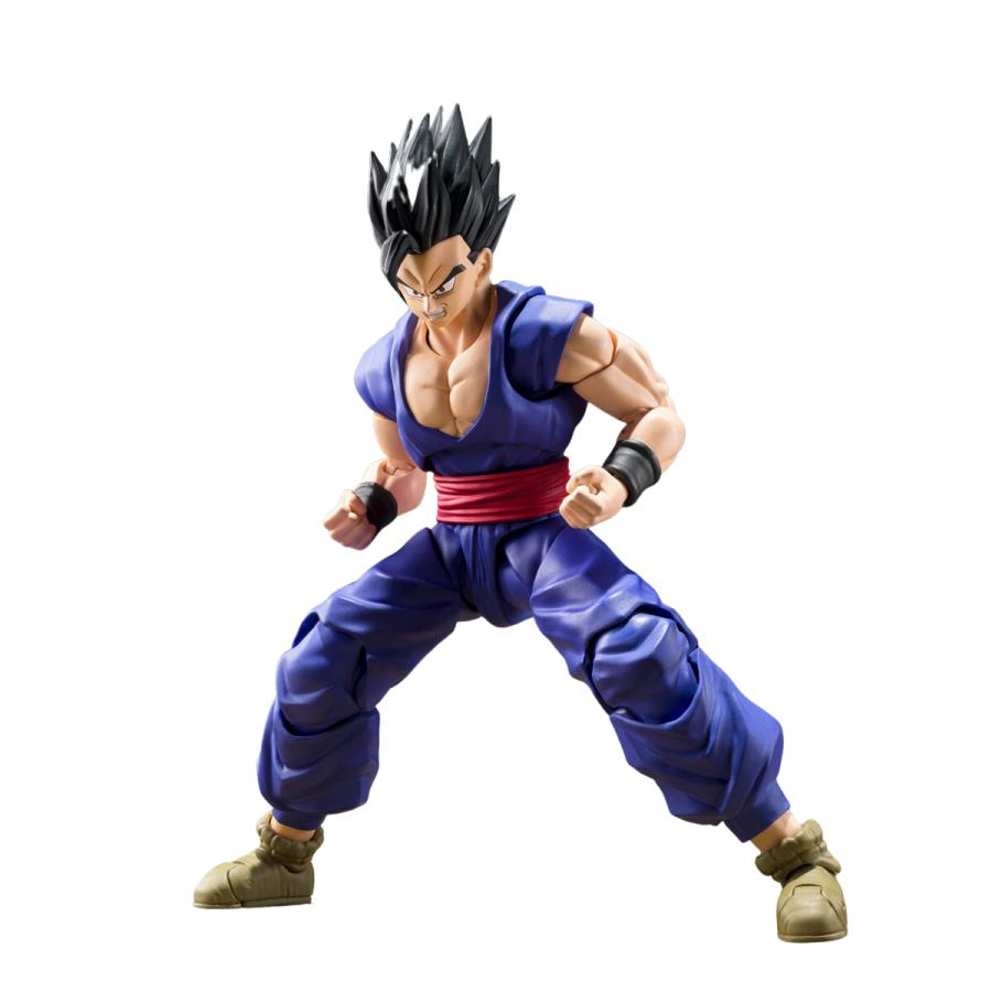 BANDAI（バンダイ） S.H.Figuarts 孫悟飯ビースト 塗装済み 可動