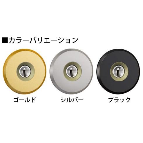 GOAL 三協アルミ 玄関ドア 鍵交換用シリンダー2個セット GOAL STK V18