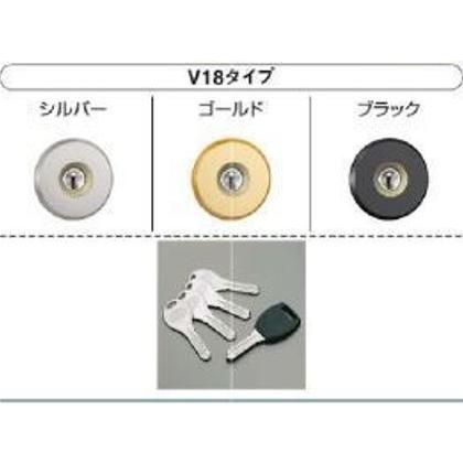 GOAL 三協アルミ 玄関ドア 鍵交換用シリンダー2個セット GOAL STK V18