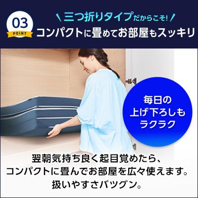 トゥルースリーパー（True Sleeper） エアフリー 三つ折りタイプ 半額