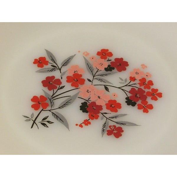 FIREKING ファイヤーキング プリムローズ ディナープレート 23cm : SK