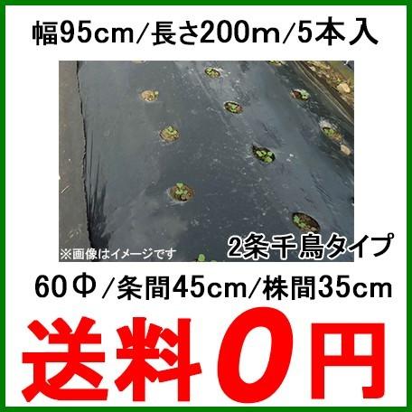 国産 穴あきマルチ 黒マルチ 有孔マルチ 幅95cm 長さ200m 株間350mm 孔