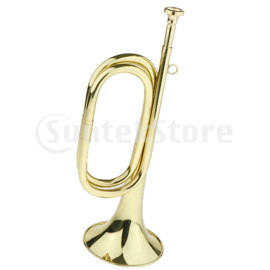 真鍮製 トランペット ホーン ラッパ 信号ラッパ 大口径 : STKショップ