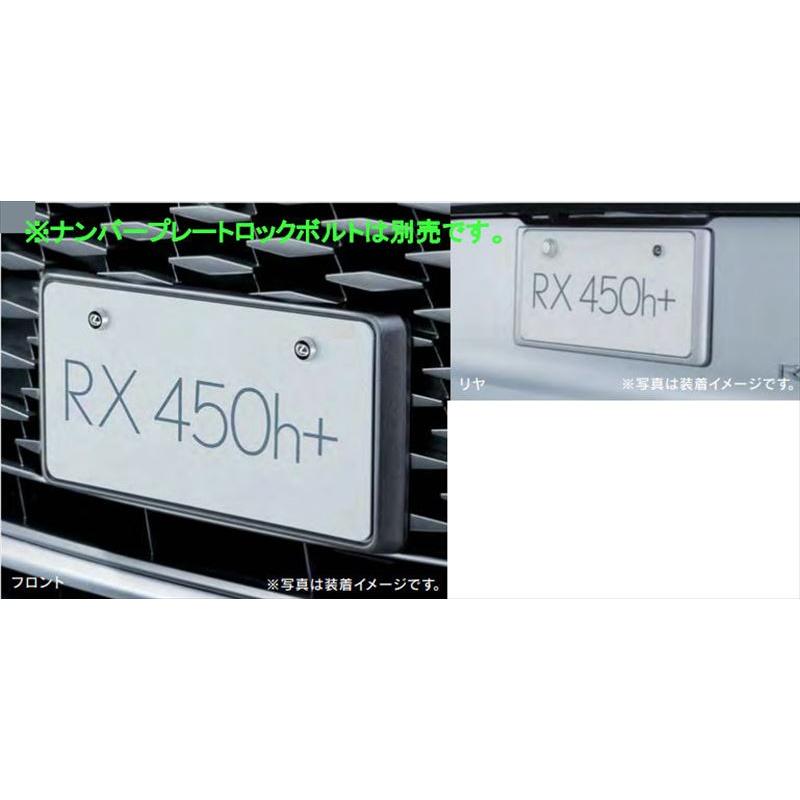 RX ナンバーフレーム（VERSION L用）フロント・リヤセット ※ロック