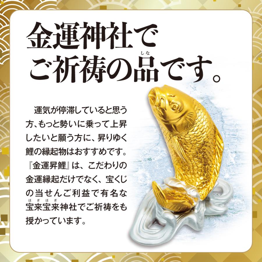 金運昇鯉】縁起物 開運 出世 魚 金色 置物 : 水晶院shop - 通販