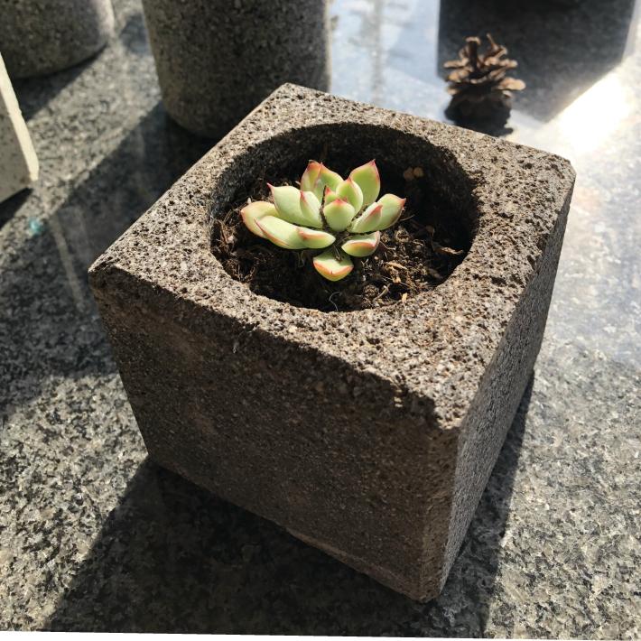 植木鉢 おしゃれ 国産溶岩石 大谷石 フラワーポット(角) サボテン 鉢