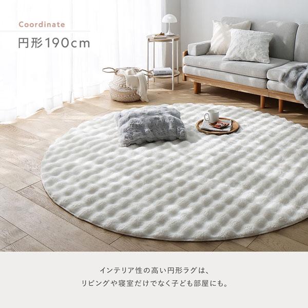 ふわもこ ラグ 約190×240cm グレー 洗える 抗菌 消臭 ペット臭 滑り