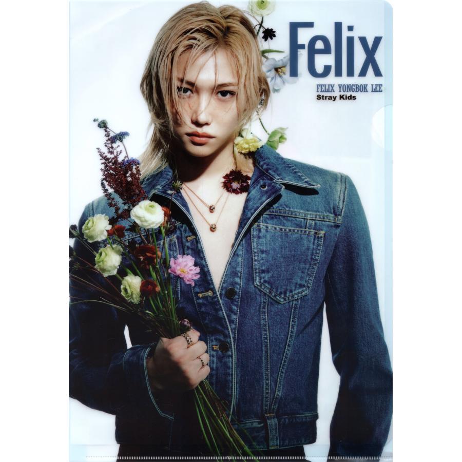 Stray Kids ストレイキッズ Felix フィリックス グッズ クリアファイル