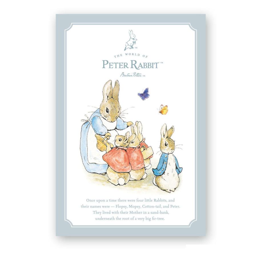 ピーターラビット（PETER RABBIT） ポストカード（FAMILY） PR-PT006