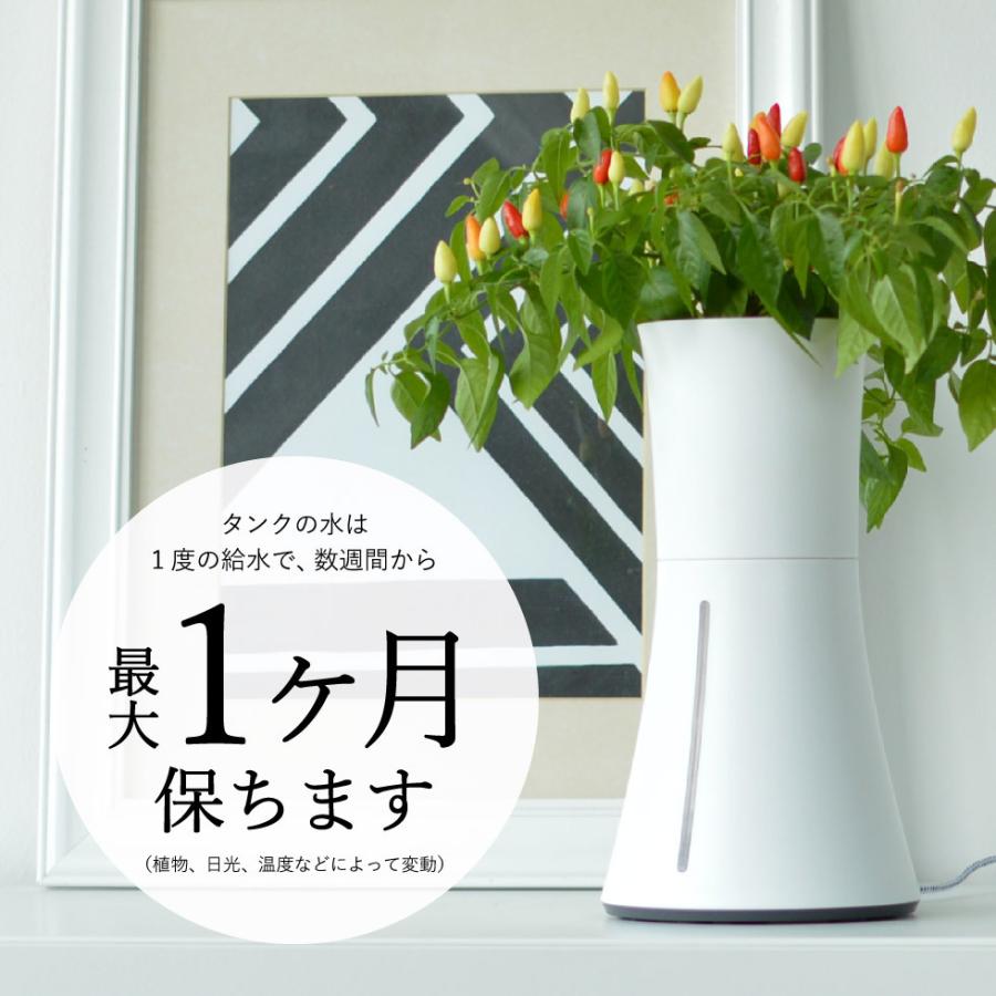 スマート水耕栽培キット ボタニアム BOTANIUM 送料無料 家庭菜園 自動