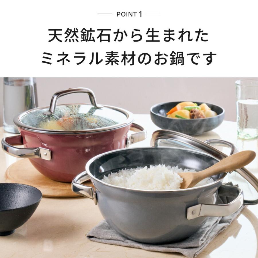 WMF（ヴェーエムエフ） フュージョンテック ミネラル ライスポット