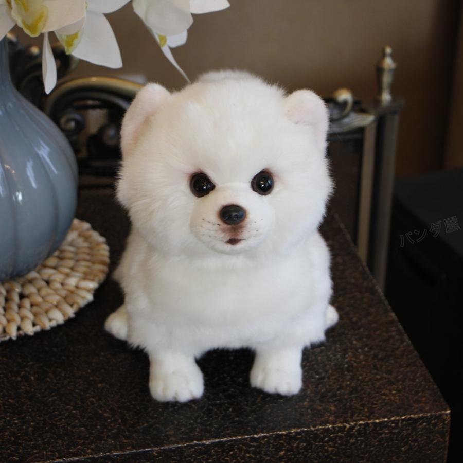 犬 ポメラニアン ぬいぐるみ 小さい dog リアル 超可愛い 動物 いぬ