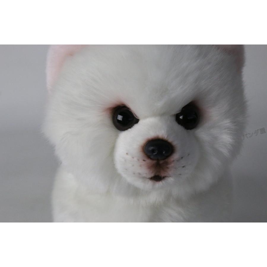 犬 ポメラニアン ぬいぐるみ 小さい dog リアル 超可愛い 動物 いぬ