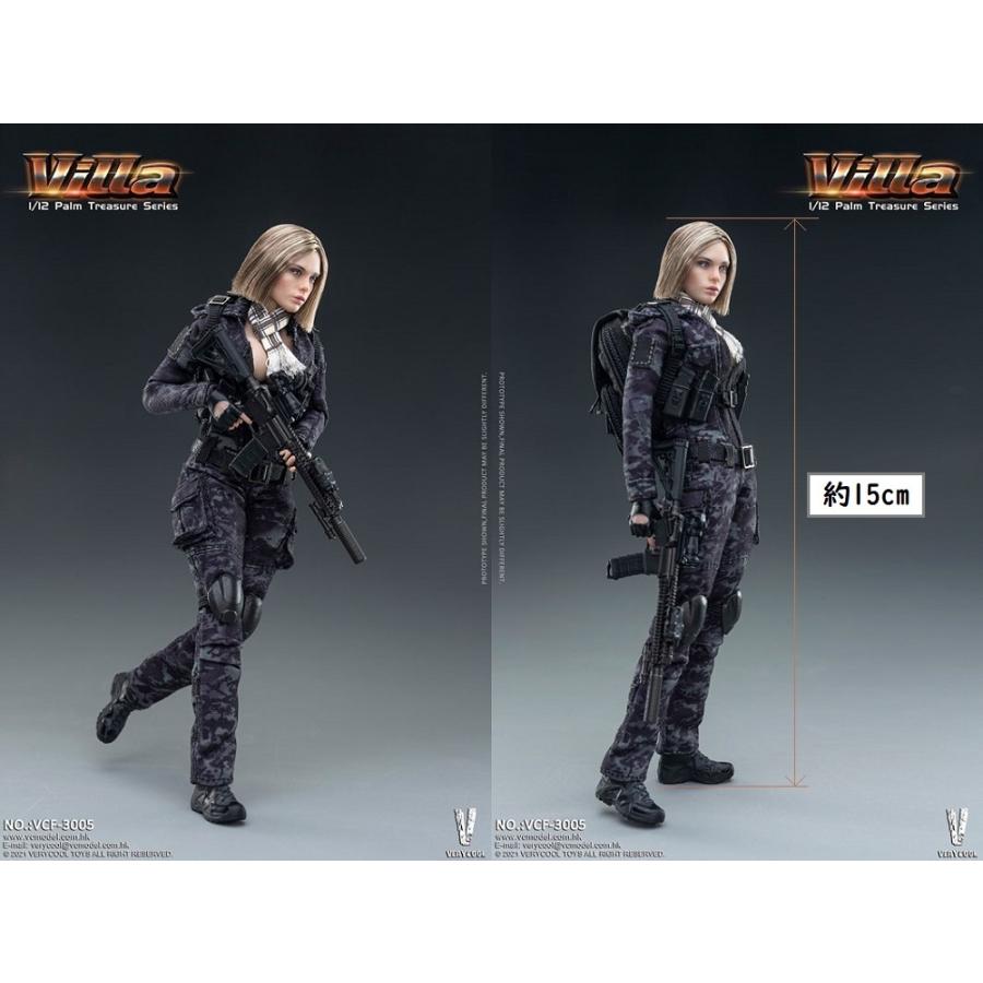 VERY COOL VCF-3005 1/12 PalmTreasureSeries Villa ヴィラ (黒迷彩) 1
