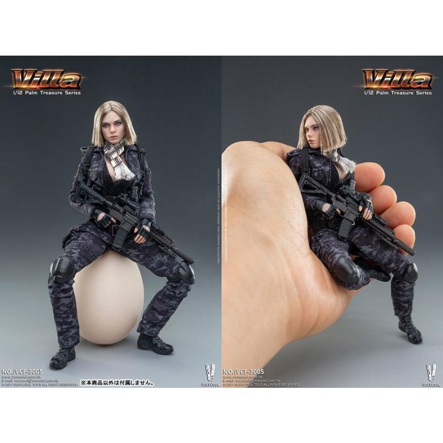 VERY COOL VCF-3005 1/12 PalmTreasureSeries Villa ヴィラ (黒迷彩) 1