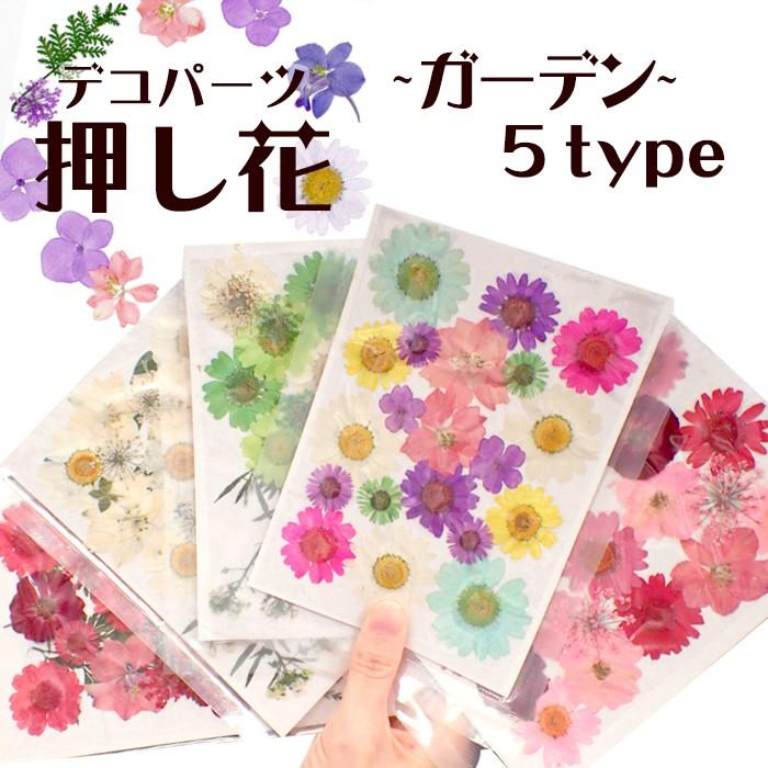 押し花 (51) ガーデン ドライフラワー 花材 レジン プリザーブド