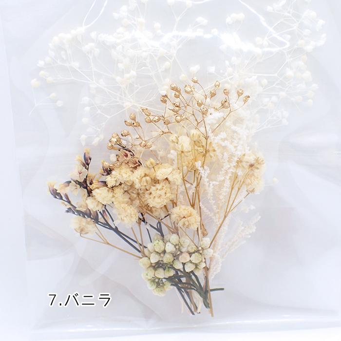 ドライフラワー (77) 小さめアソート 7色 花材 ブーケ レジン