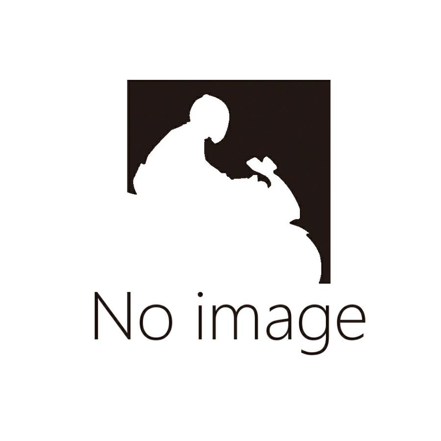 plot（プロト） EFFEX ローダウンCOMPキット Kawasaki ZZR1400 (06-07