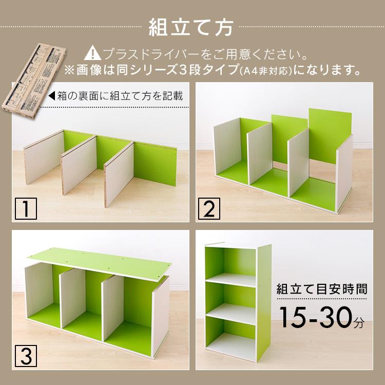 IRIS OHYAMA（アイリスオーヤマ） カラーボックス 収納 サイズ 収納