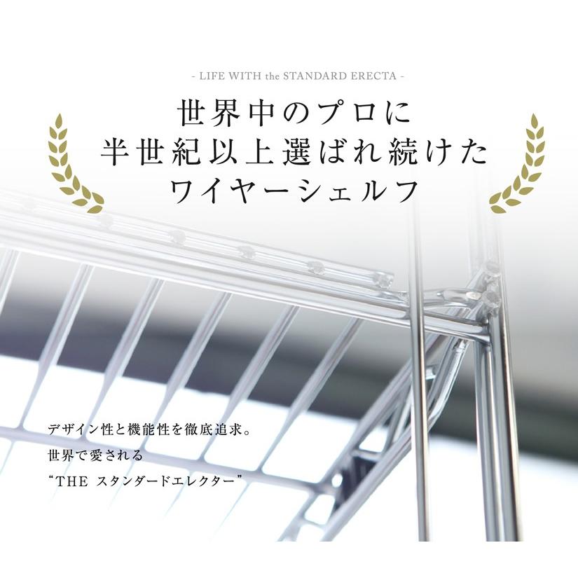 ERECTA（エレクター） エレクターシェルフ ファーストシリーズ 幅120