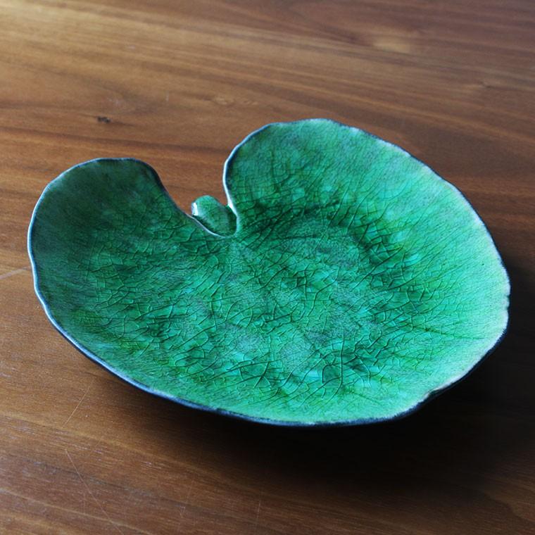 コスタ・ノバ リヴィエラ アルケミルリーフ18cm COSTA NOVA