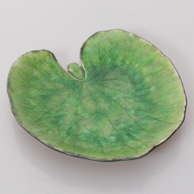 コスタ・ノバ リヴィエラ アルケミルリーフ18cm COSTA NOVA