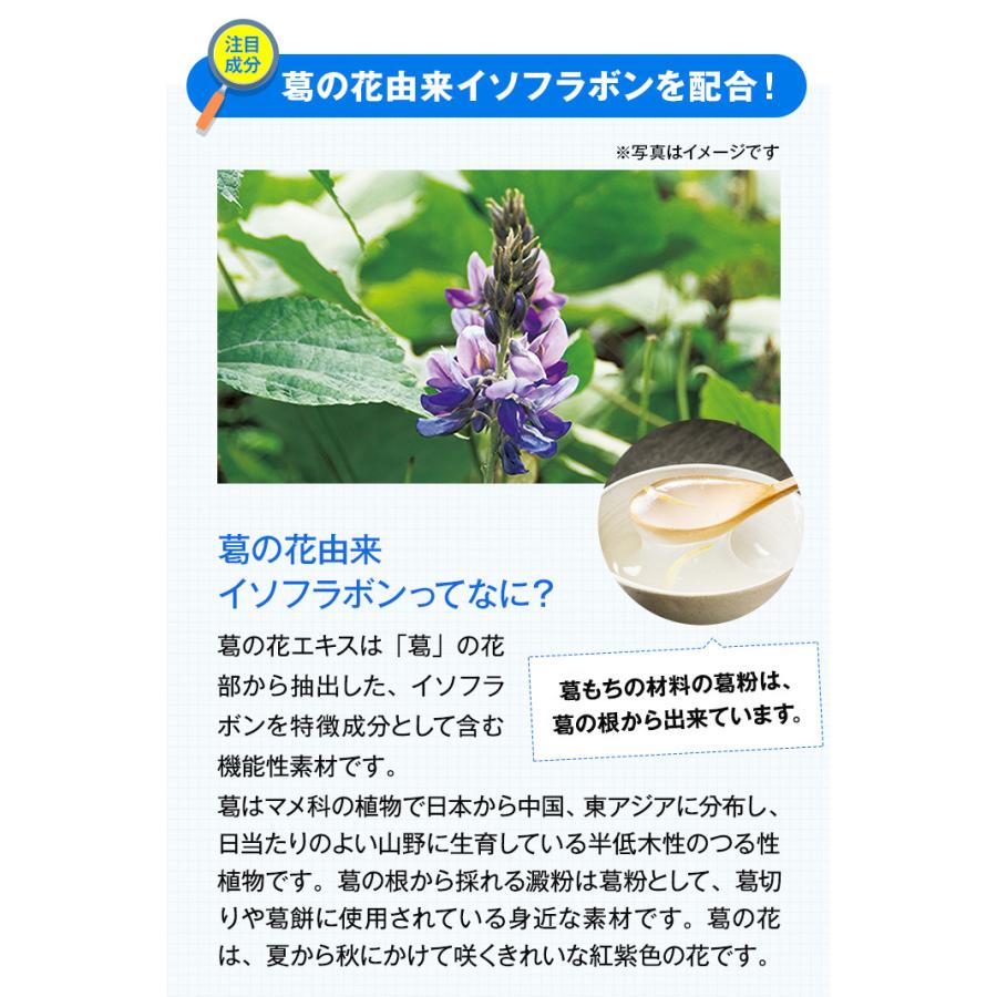 PILLBOX JAPAN（ピルボックスジャパン） WEB直販限定販売 onaka(おなか