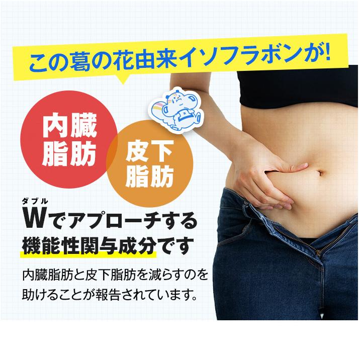 PILLBOX JAPAN（ピルボックスジャパン） WEB直販限定販売 onaka(おなか