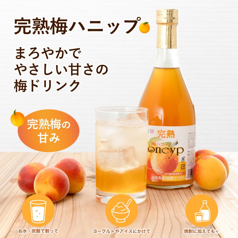 プラム食品 完熟梅ハニップ 590g×12本 梅シロップ 希釈用梅ドリンク