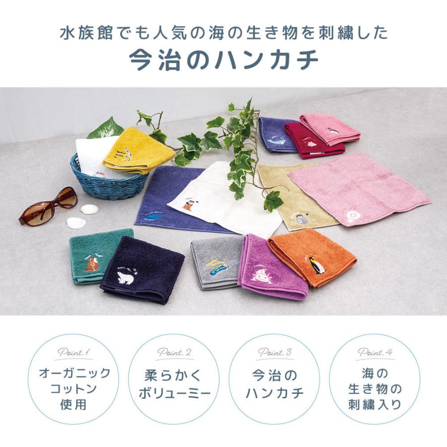 plusnao（プラスナオ） 今治タオル ハンカチ タオルハンカチ ミニ