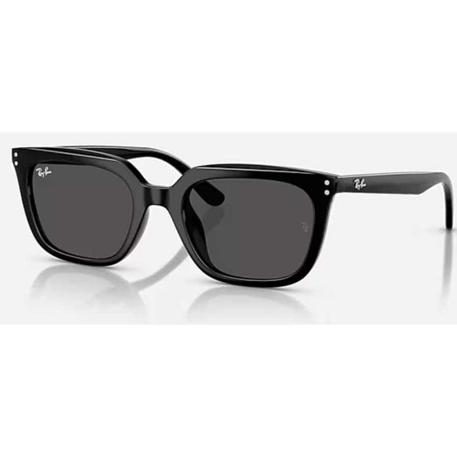 Ray-Ban（レイバン） 正規保証書(押印)付 Ray-Ban 4439D ( Low Bridge