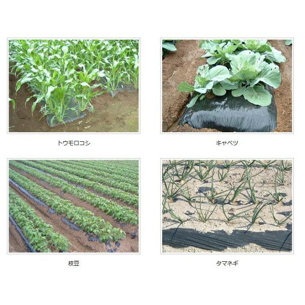 2本 生分解マルチ 黒 サンバイオXB 幅 95cm×200m 無孔 マルチ フィルム