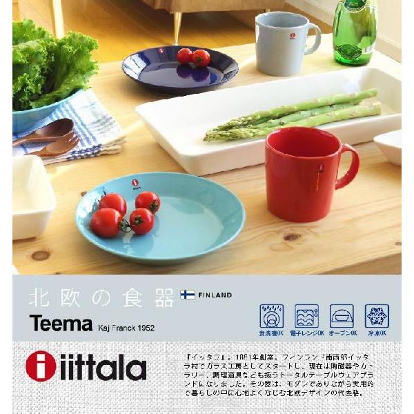 iittala（イッタラ） 【正規販売店☆送料無料 】iittala Teema