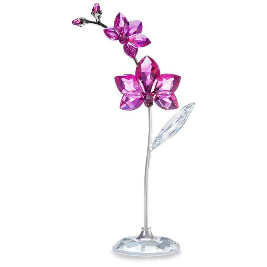 SWAROVSKI（スワロフスキー） 置物 クリスタル Flower Dreams - Orchid