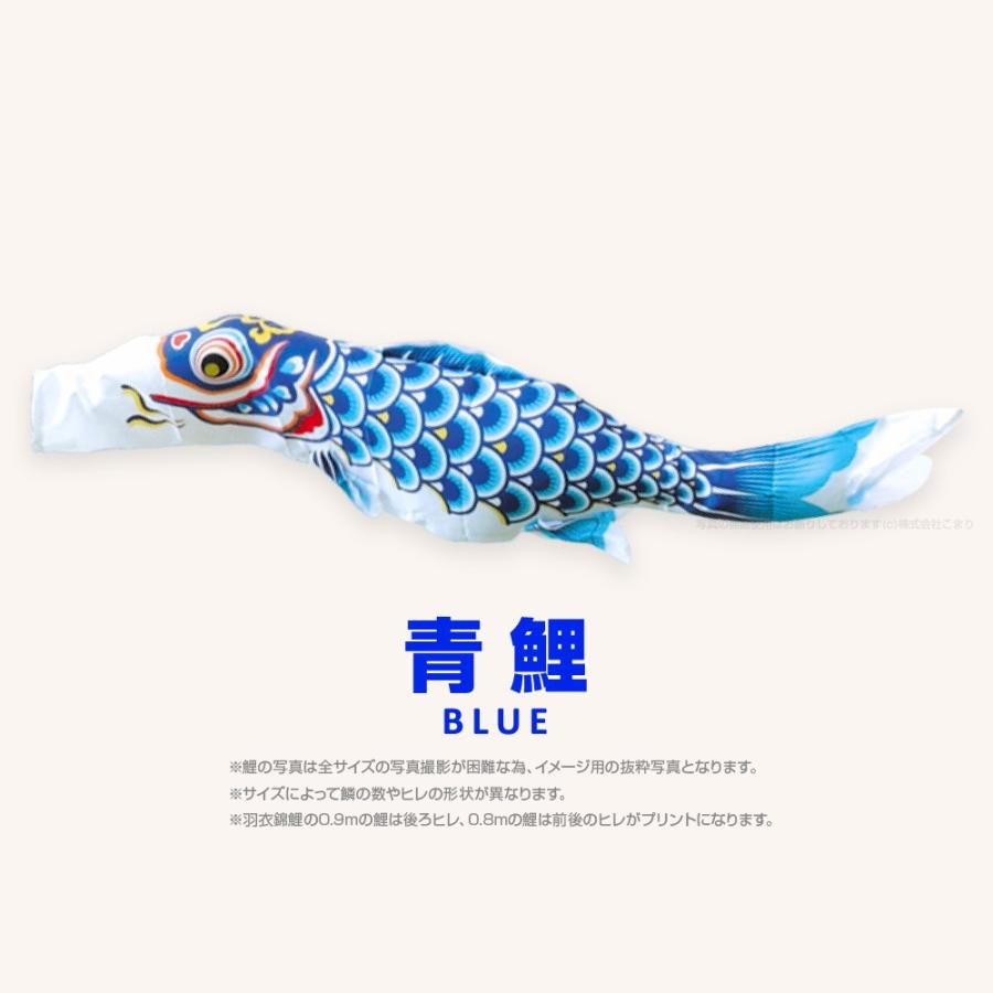 こいのぼり 単品 羽衣錦鯉 3m 単品鯉 : 節句&ギフト専門店 ぷりふあ
