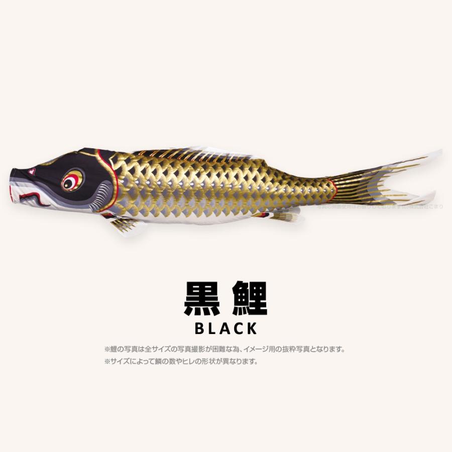 こいのぼり 単品 江戸錦鯉 3m 単品鯉 : 節句&ギフト専門店 ぷりふあ