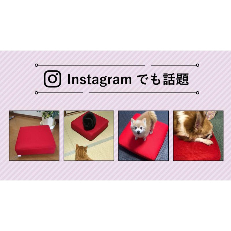 プライムダイレクト（Primedirect） トランポリン クッション ながら