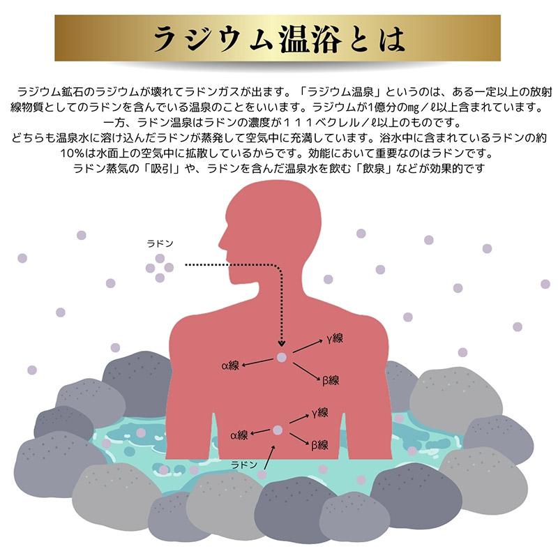 ラジウムセラミックボール 250g(専用ネット付き) ラジウム鉱石